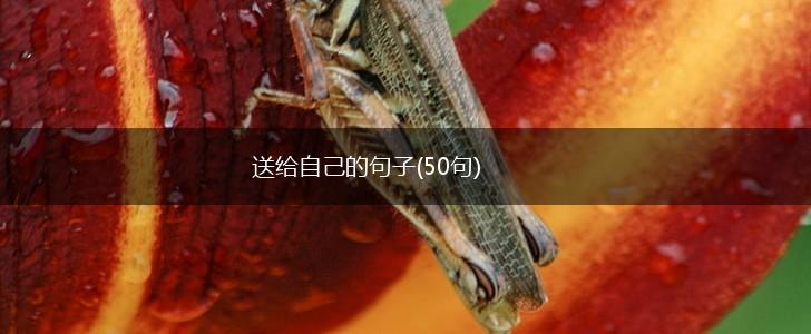 送给自己的句子(50句),第1张