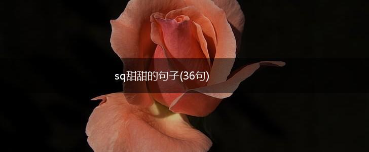 sq甜甜的句子(36句),第1张