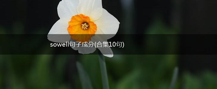 sowell句子成分(合集10句),第1张