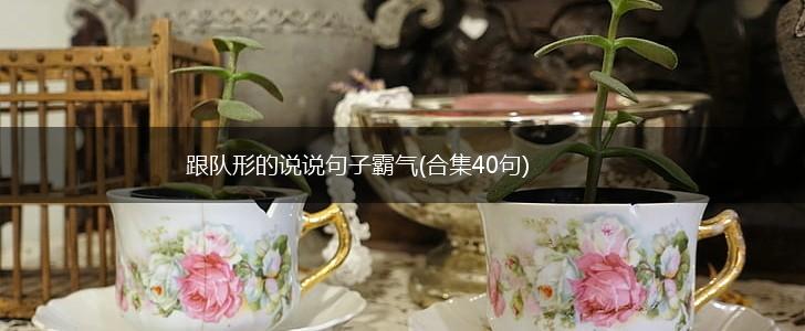 跟队形的说说句子霸气(合集40句),第1张