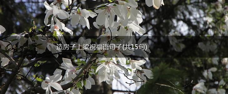 造房子上梁祝福语句子(共15句),第1张