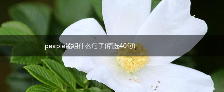 peaple能组什么句子(精选40句),第1张