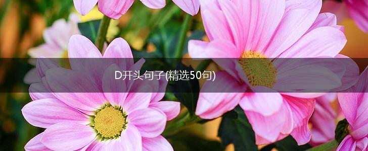D开头句子(精选50句),第1张