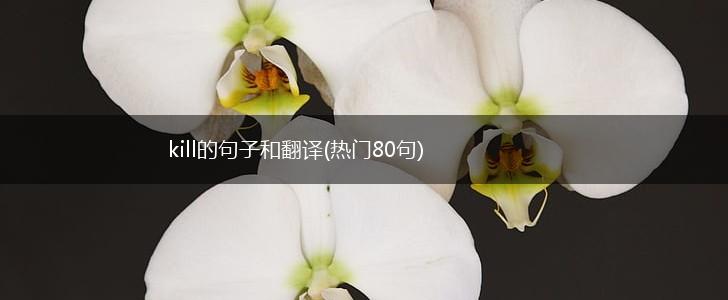 kill的句子和翻译(热门80句),第1张