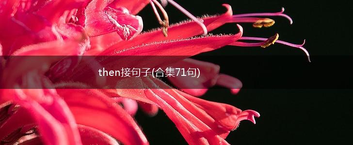 then接句子(合集71句),第1张