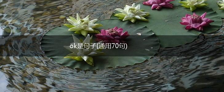 ok是句子(通用70句),第1张