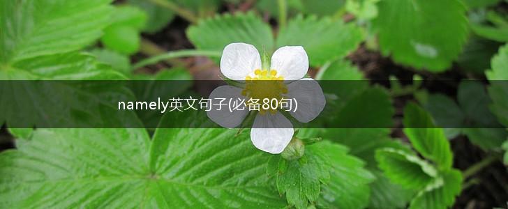 namely英文句子(必备80句),第1张