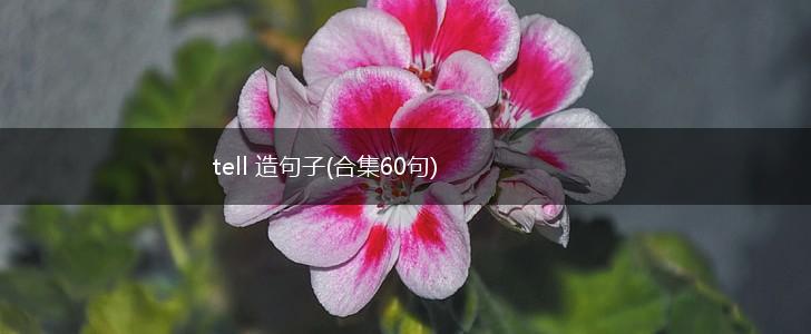 tell 造句子(合集60句),第1张