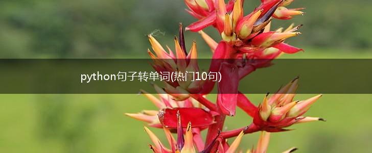 python句子转单词(热门10句),第1张
