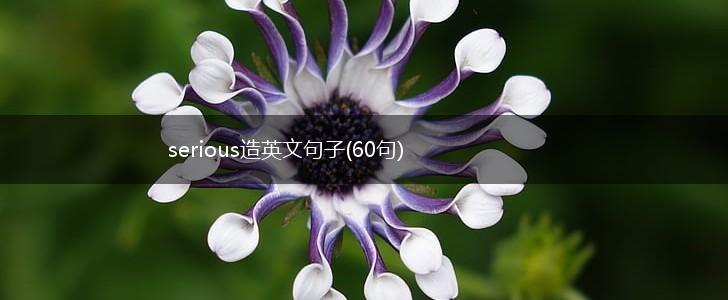serious造英文句子(60句),第1张