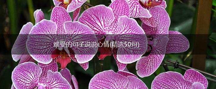难受的句子说说心情(精选50句),第1张
