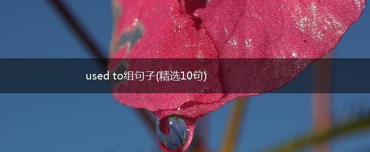used to组句子(精选10句),第1张