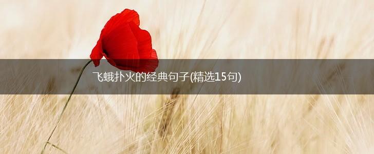 飞蛾扑火的经典句子(精选15句),第1张