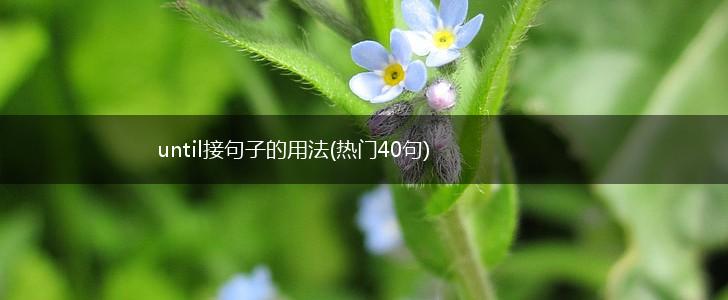 until接句子的用法(热门40句),第1张