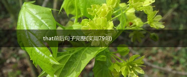 that前后句子完整(实用79句),第1张