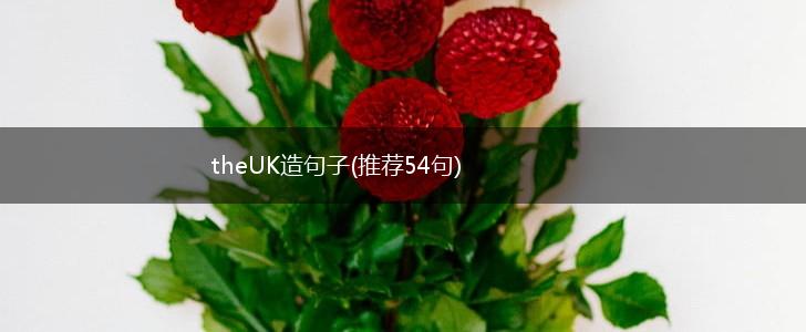 theUK造句子(推荐54句),第1张