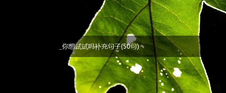 _你想试试吗补充句子(50句),第1张