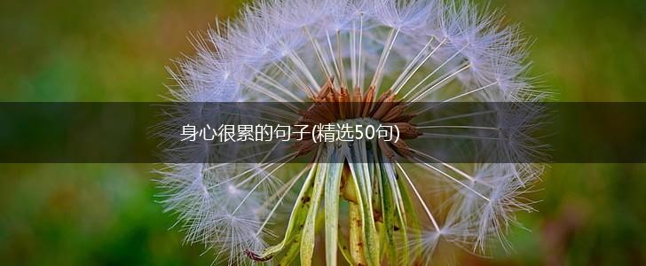 身心很累的句子(精选50句),第1张