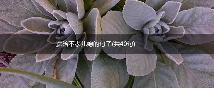 送给不孝儿媳的句子(共40句),第1张