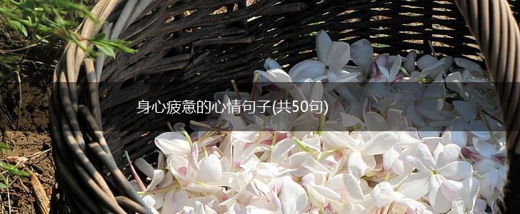身心疲惫的心情句子(共50句),第1张