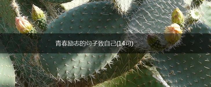 青春励志的句子致自己(14句),第1张