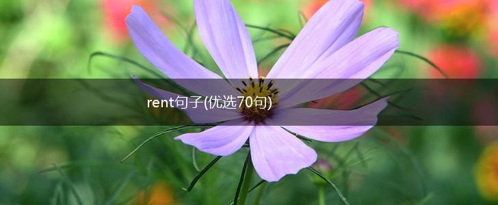 rent句子(优选70句),第1张