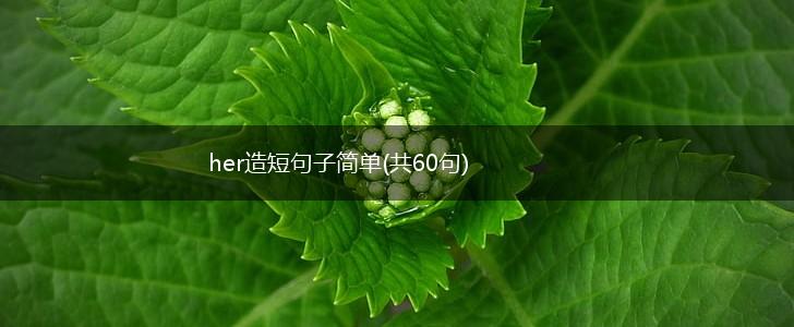 her造短句子简单(共60句),第1张