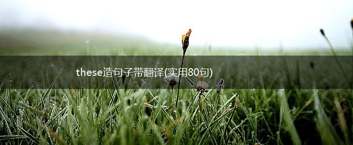 these造句子带翻译(实用80句),第1张