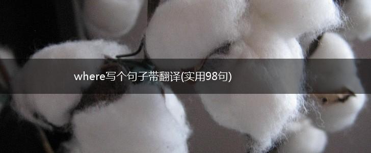 where写个句子带翻译(实用98句),第1张