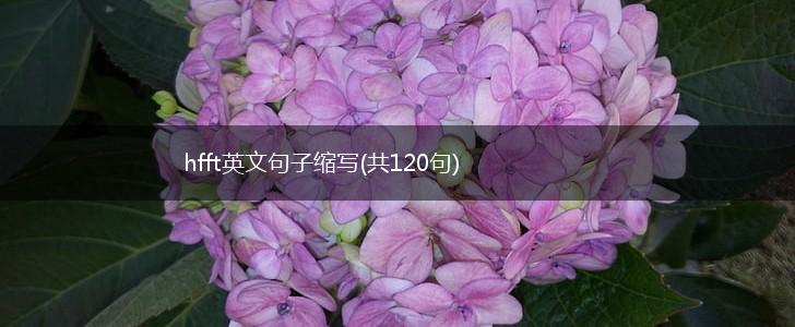 hfft英文句子缩写(共120句),第1张