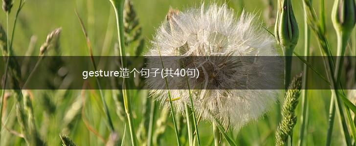 gesture造个句子(共40句),第1张