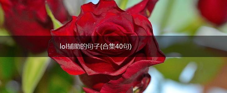 lol辅助的句子(合集40句),第1张