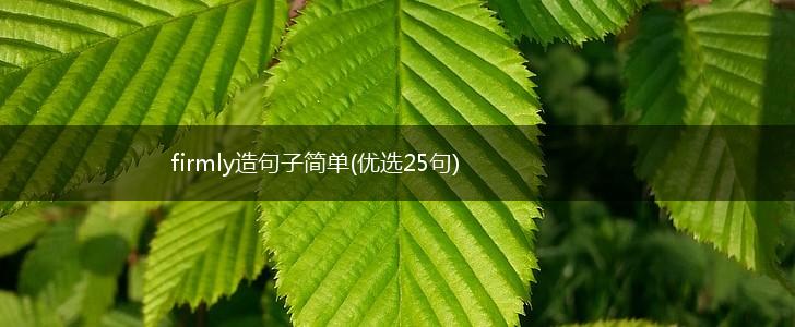 firmly造句子简单(优选25句),第1张