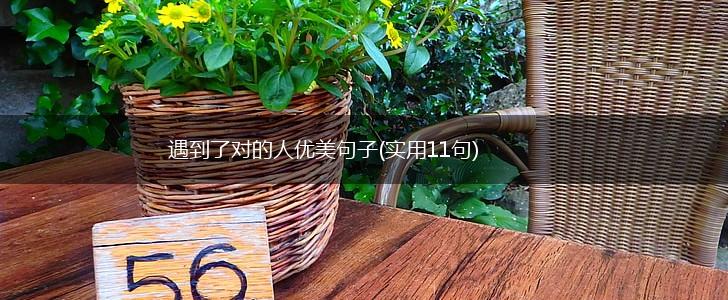遇到了对的人优美句子(实用11句),第1张