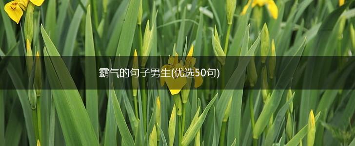 霸气的句子男生(优选50句),第1张