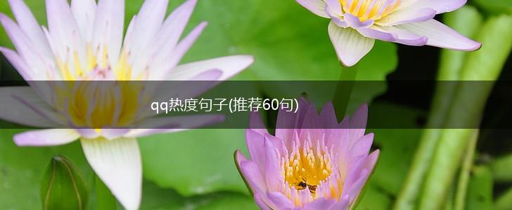 qq热度句子(推荐60句),第1张