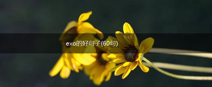exo的好句子(60句),第1张