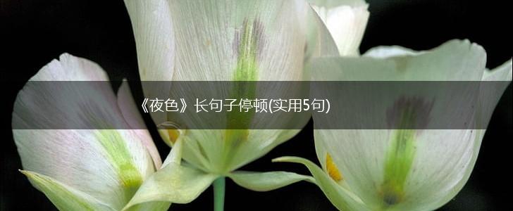 《夜色》长句子停顿(实用5句),第1张