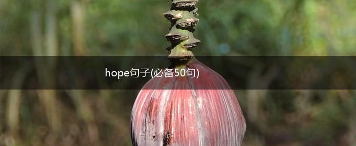 hope句子(必备50句),第1张