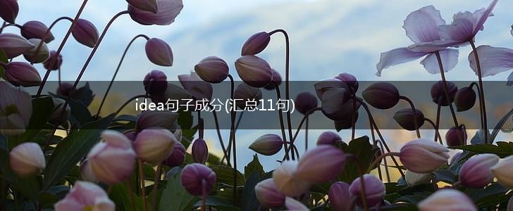 idea句子成分(汇总11句),第1张