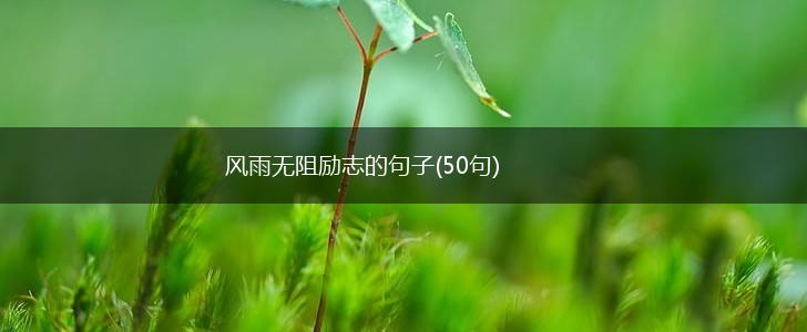 风雨无阻励志的句子(50句),第1张