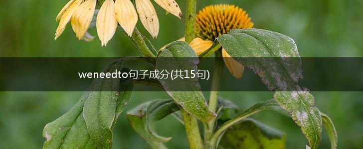 weneedto句子成分(共15句),第1张