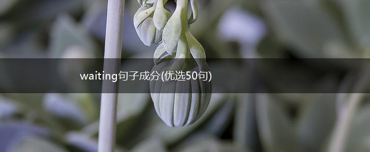 waiting句子成分(优选50句),第1张