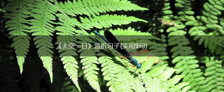 《太空一日》赏析句子(实用9句),第1张