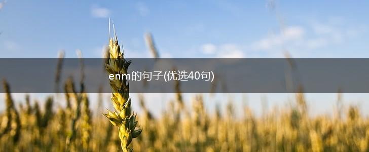 enm的句子(优选40句),第1张