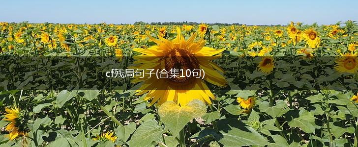 cf残局句子(合集10句),第1张