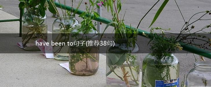 have been to句子(推荐38句),第1张