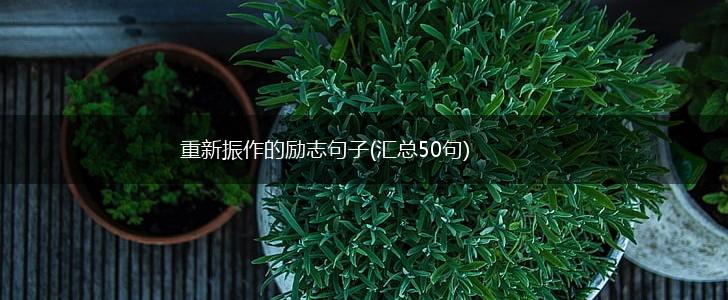 重新振作的励志句子(汇总50句),第1张