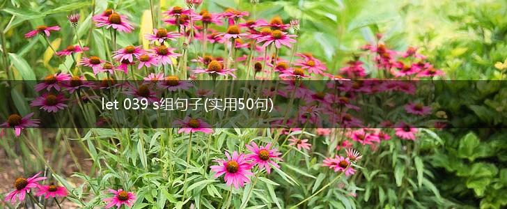 let 039 s组句子(实用50句),第1张