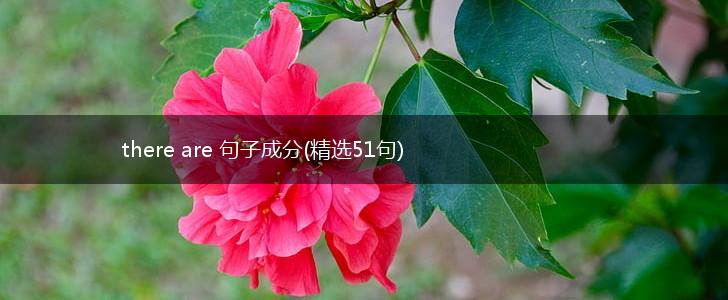 there are 句子成分(精选51句),第1张